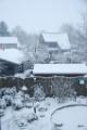 Vogels en sneeuw in de achtertuin